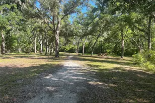 10495 Gliding Eagle Wy, Land O Lakes, FL 34638 - Photo 50