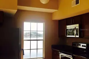 9020 Lake Chase Island Way, Tampa, FL 33626 - Photo 6