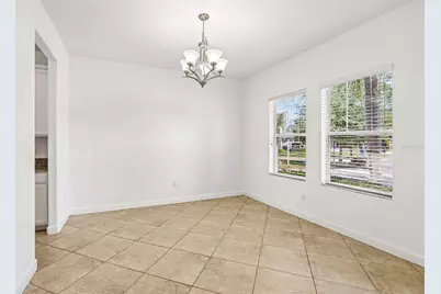 19417 Paddock View Drive, Tampa, FL 33647 - Photo 6