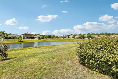 19417 Paddock View Drive, Tampa, FL 33647 - Photo 42