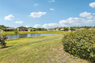 19417 Paddock View Dr, Tampa, FL 33647 - Photo 42
