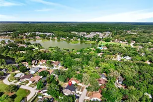14841 Oak Vine Dr, Lutz, FL 33559 - Photo 34