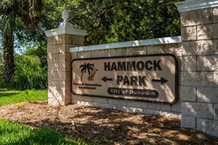 1658 Douglas Ave, Dunedin, FL 34698 - Photo 34