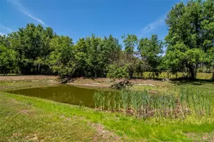 6230 Bob Head Rd, Plant City, FL 33565 - Photo 14