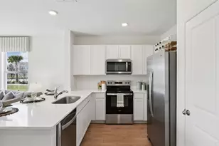 31196 Midnight Sun Wy, Wesley Chapel, FL 33545 - Photo 12