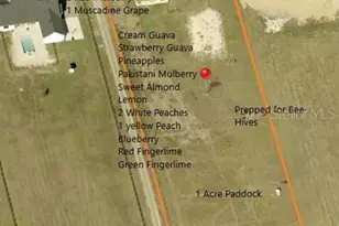 3063 English Rd, Plant City, FL 33567 - Photo 2