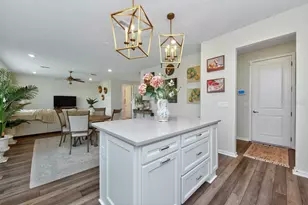 12908 Brookside Moss Dr, Riverview, FL 33579 - Photo 16