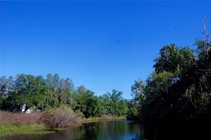 30230 Palm Ln, Wesley Chapel, FL 33545 - Photo 54