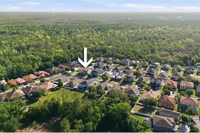 2602 Bartolo Drive, Land O Lakes, FL 34639 - Photo 50