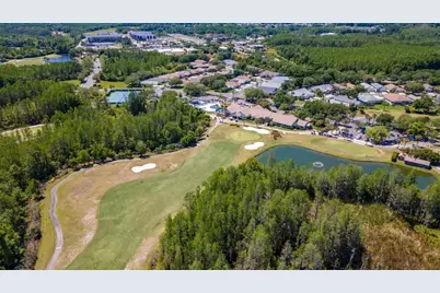 7308 Cleopatra Drive, Land O Lakes, FL 34637 - Photo 56