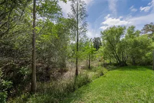 14915 Smitter Reserve Dr, Tampa, FL 33618 - Photo 52