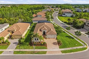 2420 Coco Palm Cir, Wesley Chapel, FL 33543 - Photo 74