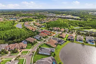 2420 Coco Palm Cir, Wesley Chapel, FL 33543 - Photo 80