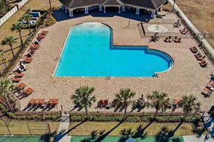 18908 Alfaro Loop, Spring Hill, FL 34610 - Photo 50