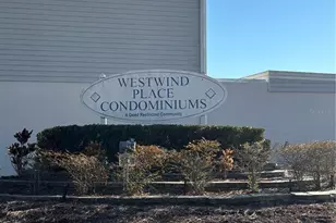 11804 Cypress Hill Cir, Tampa, FL 33626 - Photo 4