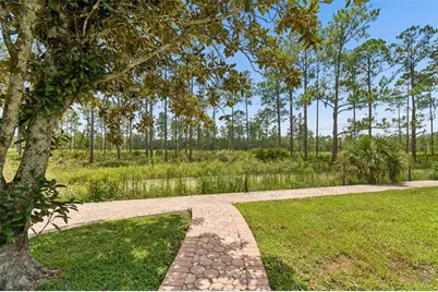 10102 Deercliff Drive, Tampa, FL 33647 - Photo 74