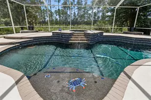 10102 Deercliff Dr, Tampa, FL 33647 - Photo 72