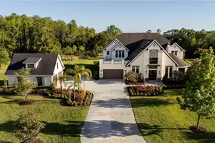 19101 Magnolia Farms Ln, Odessa, FL 33556 - Photo 4