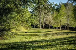 19101 Magnolia Farms Ln, Odessa, FL 33556 - Photo 78