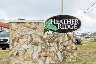 1370 Heather Ridge Blvd, Dunedin, FL 34698 - Photo 38