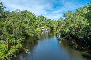8214 Revels Rd, Riverview, FL 33569 - Photo 8