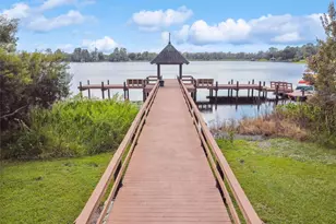 21227 Sky Vista Dr, Land O Lakes, FL 34637 - Photo 94