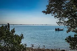 2 Causeway Blvd, Dunedin, FL 34698 - Photo 42