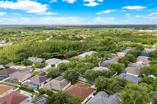 10254 Shadow Branch Dr, Tampa, FL 33647 - Photo 70