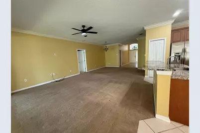 19138 Meadow Pine Drive, Tampa, FL 33647 - Photo 2