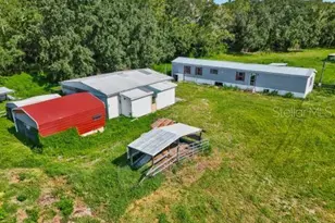 15617 Casey Rd, Tampa, FL 33624 - Photo 6
