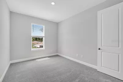3845 Fraccareta Way, Wesley Chapel, FL 33543 - Photo 22