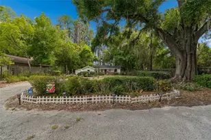 4743 School Rd, Land O Lakes, FL 34638 - Photo 6