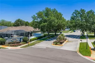 1603 Grand Heritage Blvd, Valrico, FL 33594 - Photo 54