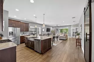 14121 Carissa Meadows Ct, Riverview, FL 33569 - Photo 10