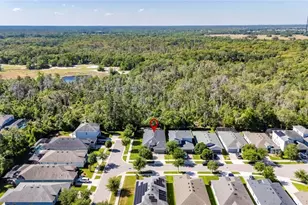 14121 Carissa Meadows Ct, Riverview, FL 33569 - Photo 42
