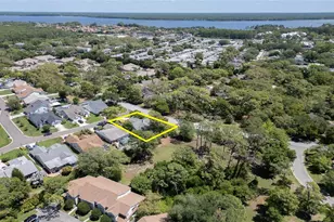 2182 Trevor Rd, Palm Harbor, FL 34683 - Photo 58