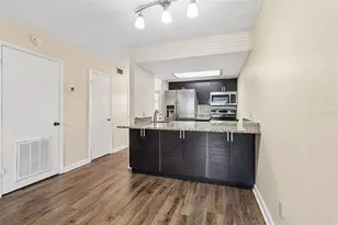 4839 McElroy, Tampa, FL 33611 - Photo 8