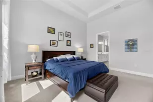 5515 Madrigal Wy, Apollo Beach, FL 33572 - Photo 36