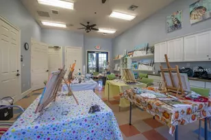 5474 Sunset Falls Dr, Apollo Beach, FL 33572 - Photo 76