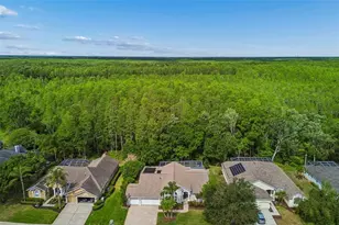 19004 St Laurent Dr, Lutz, FL 33558 - Photo 10