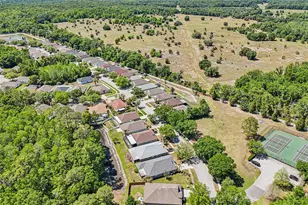 5833 War Admiral Dr, Wesley Chapel, FL 33544 - Photo 46
