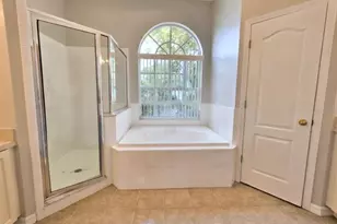 10805 Australian Pine Dr, Riverview, FL 33579 - Photo 12