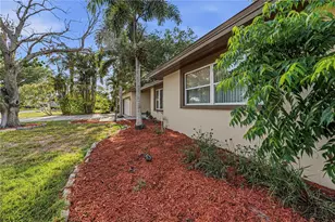 1532 Orange St, Clearwater, FL 33756 - Photo 14