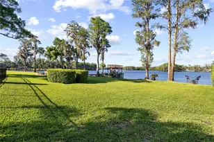 9901 Menander Wood Ct, Odessa, FL 33556 - Photo 78