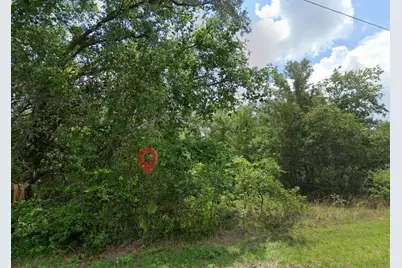 5363 N Redwood Avenue, Hernando, FL 34442 - Photo 2