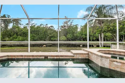 4152 Grandchamp Circle, Palm Harbor, FL 34685 - Photo 24