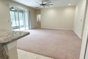 13814 Bee Tree Ct, Hudson, FL 34669 - Photo 36