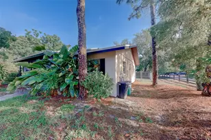 1109 E Rohe St, Tarpon Springs, FL 34689 - Photo 38