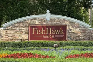 15433 Osprey Glen Dr, Lithia, FL 33547 - Photo 36