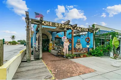 360 Liam Avenue, Tarpon Springs, FL 34689 - Photo 60